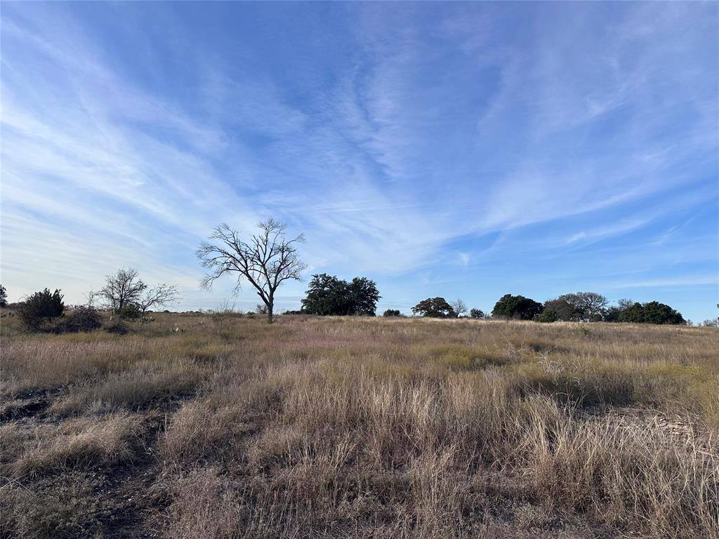 245 Grand Canyon Drive, Oglesby, TX 76561