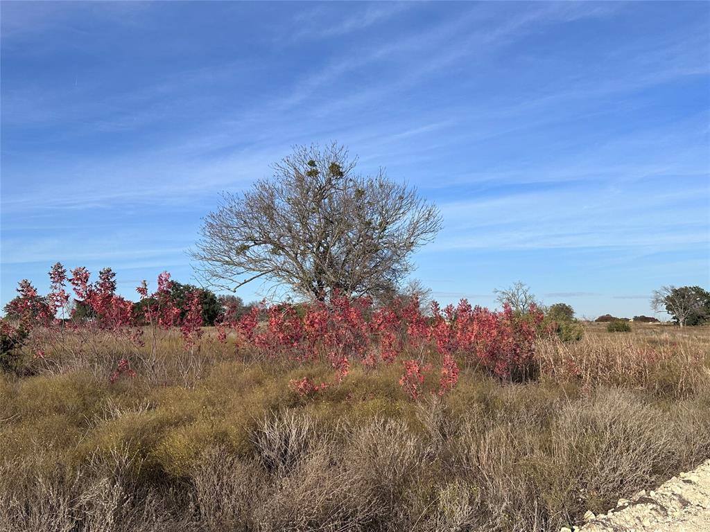 245 Grand Canyon Drive, Oglesby, TX 76561
