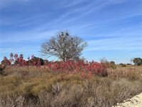 245 Grand Canyon Drive, Oglesby, TX 76561