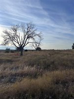 245 Grand Canyon Drive, Oglesby, TX 76561