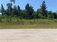 8205 Road 5878, Cleveland, TX 77327