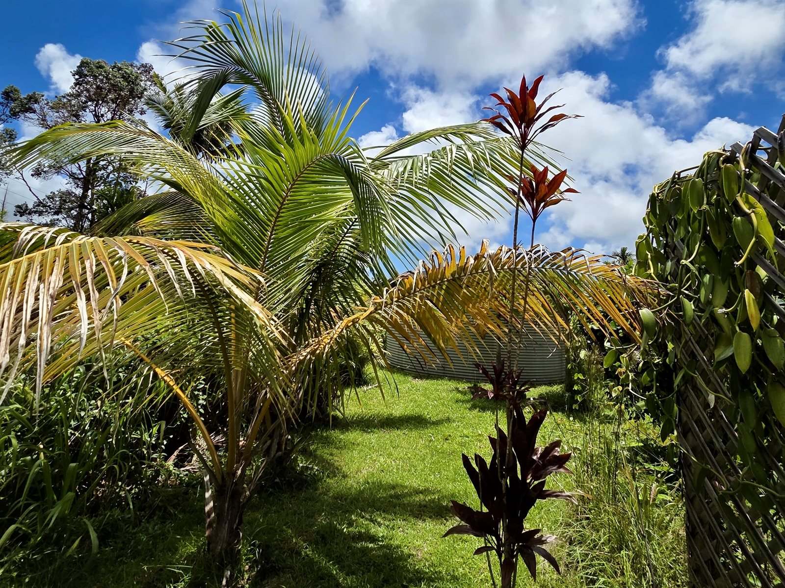 16-2035 Vista Dr, Pahoa, HI 96778