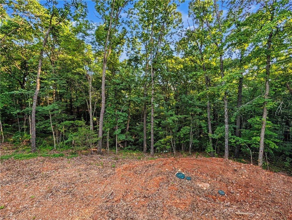 1 Shildon Circle, Bella Vista, AR 72714