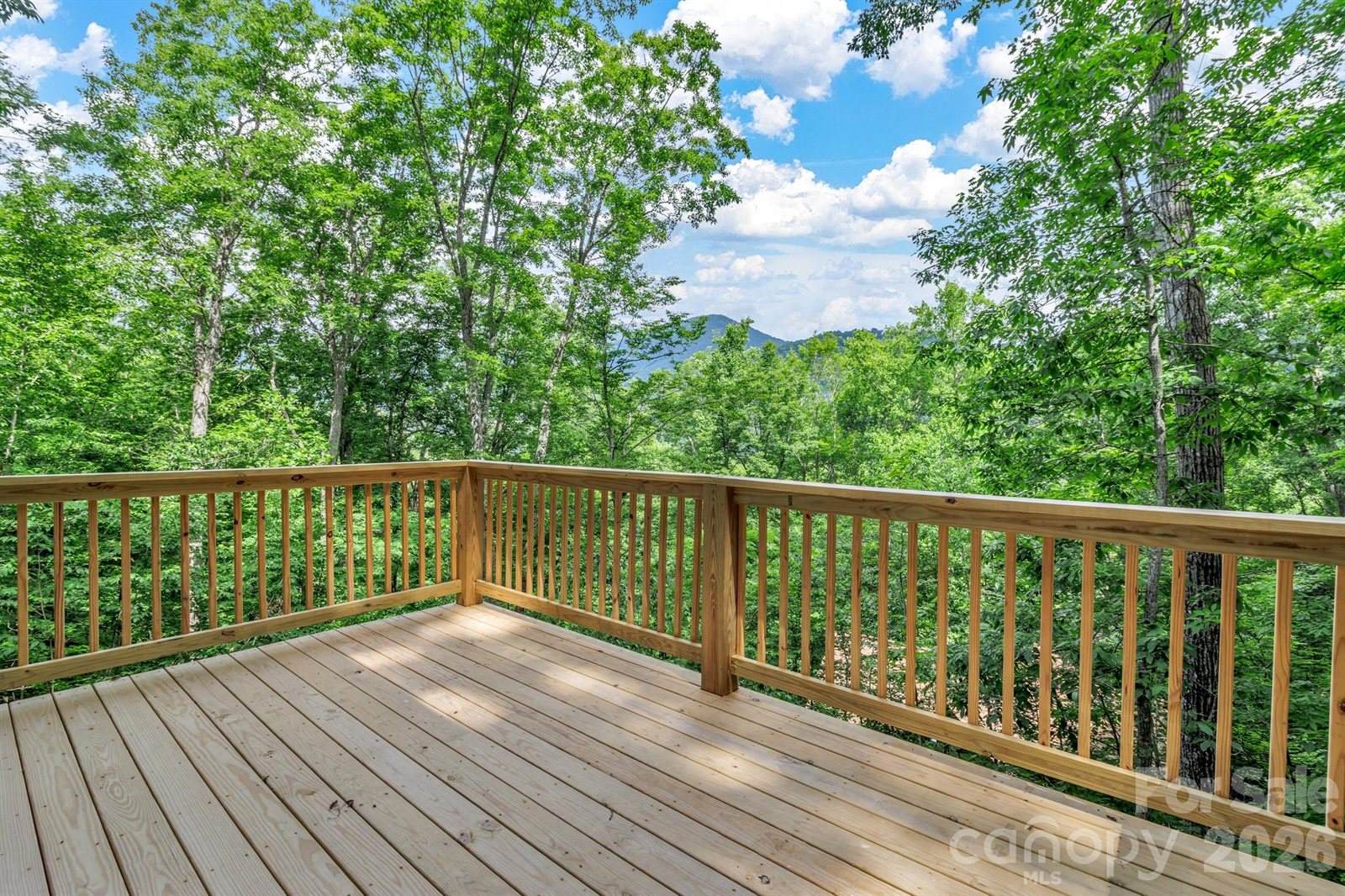 50 Sleeping Bear Ridge, Maggie Valley, NC 28751