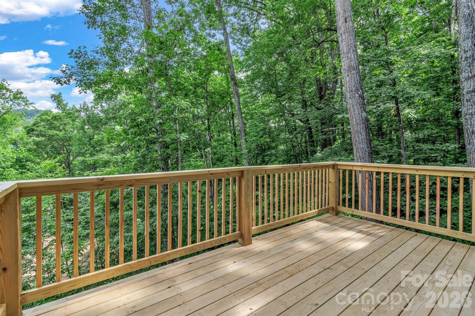 50 Sleeping Bear Ridge, Maggie Valley, NC 28751