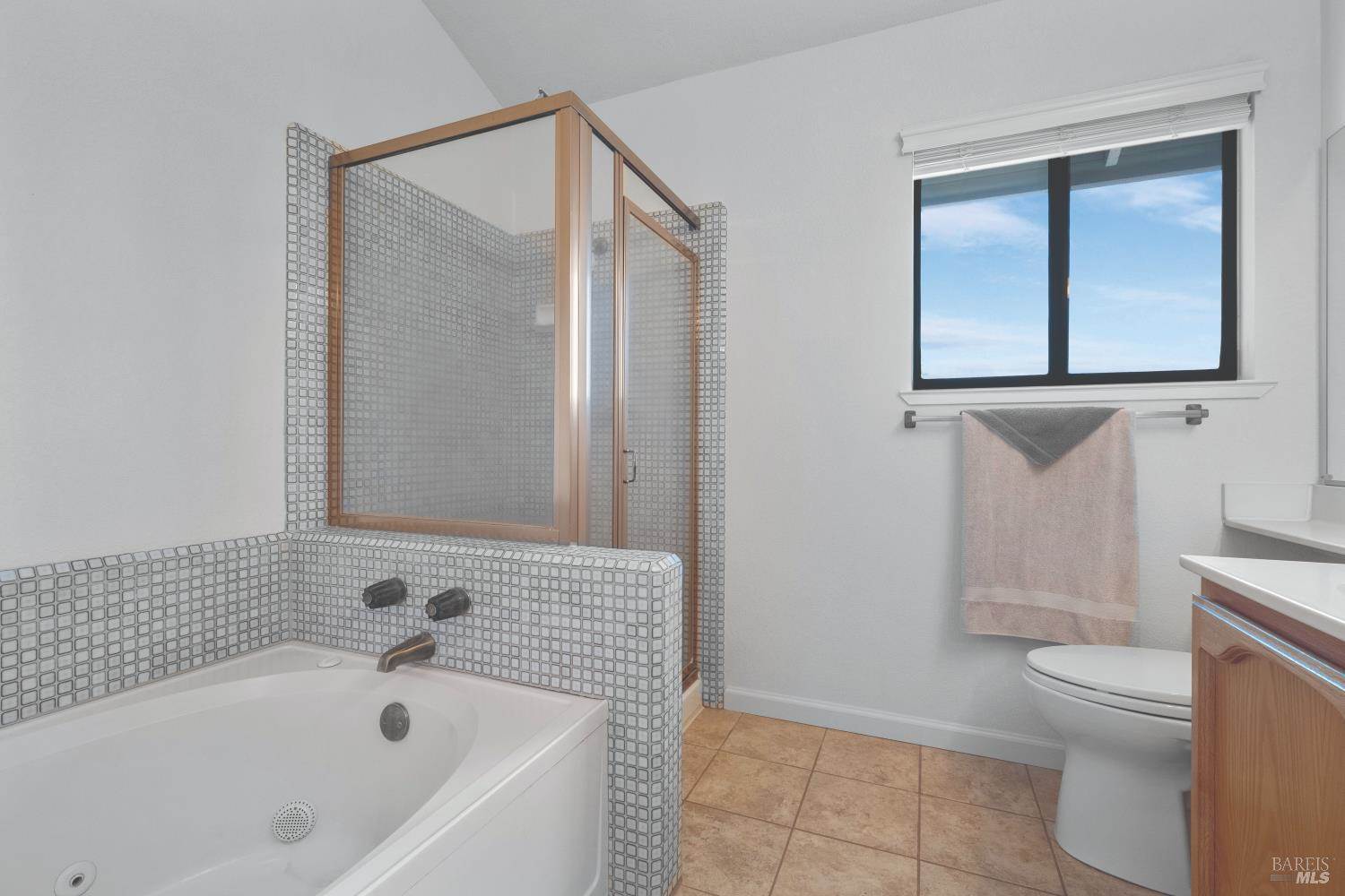 397 Baile De Ciervos Circle, Santa Rosa, CA 95403