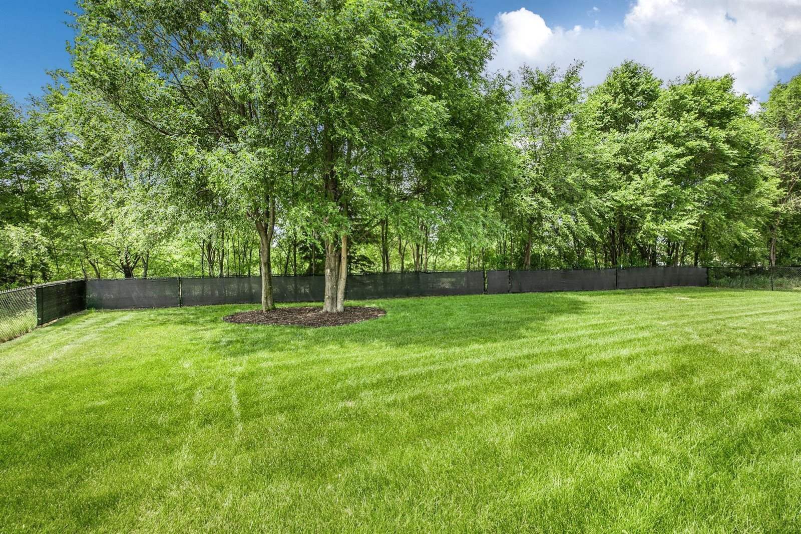 20360 June Grass Drive, Big Lake, MN 55309
