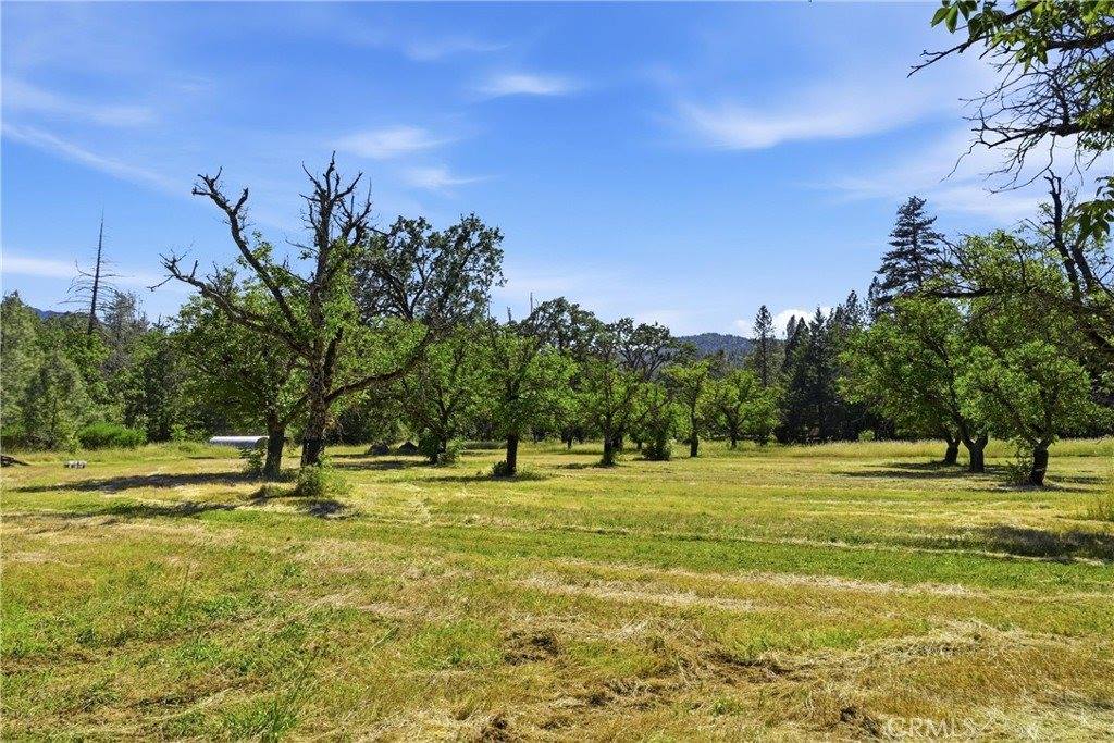 22550 Shady Grove Road, Middletown, CA 95461