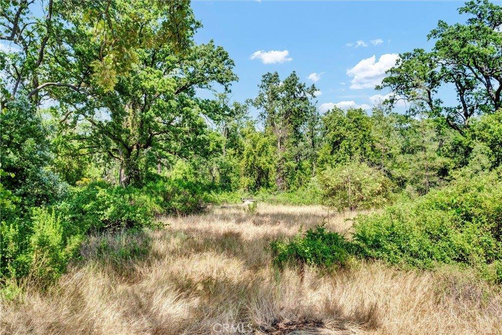 22550 Shady Grove Road, Middletown, CA 95461