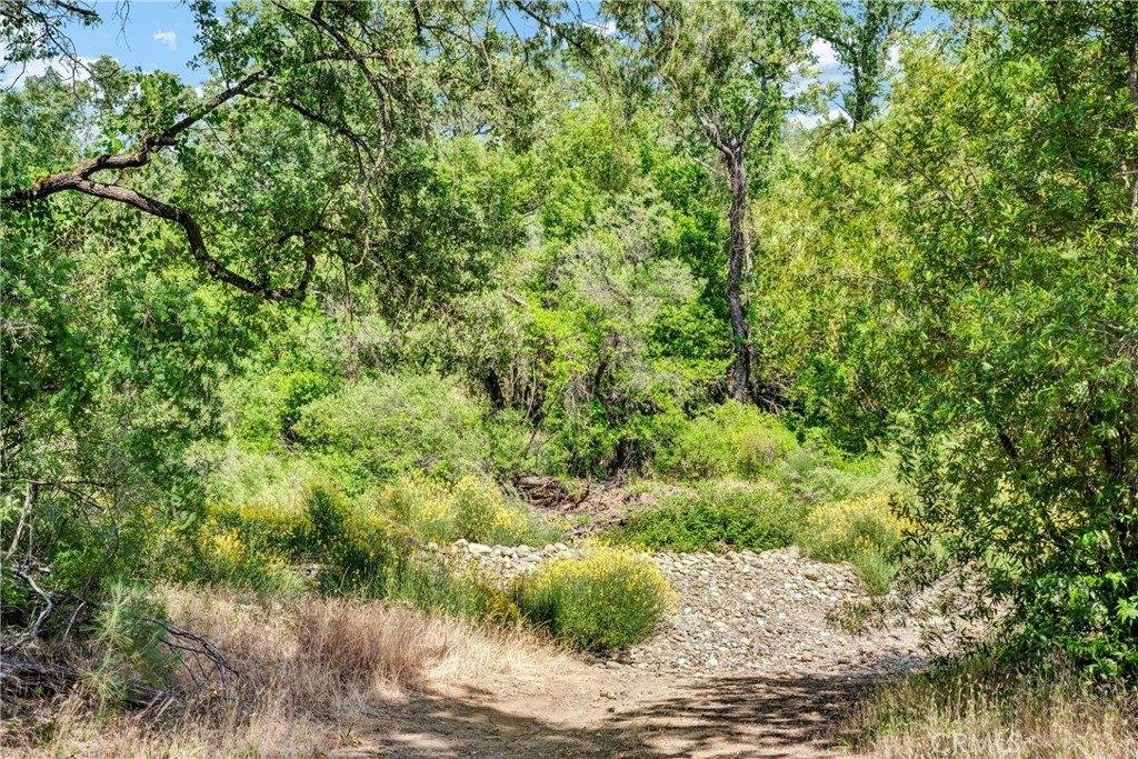22550 Shady Grove Road, Middletown, CA 95461