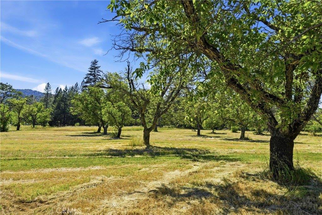 22550 Shady Grove Road, Middletown, CA 95461