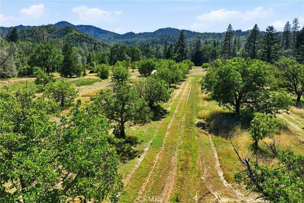 22550 Shady Grove Road, Middletown, CA 95461