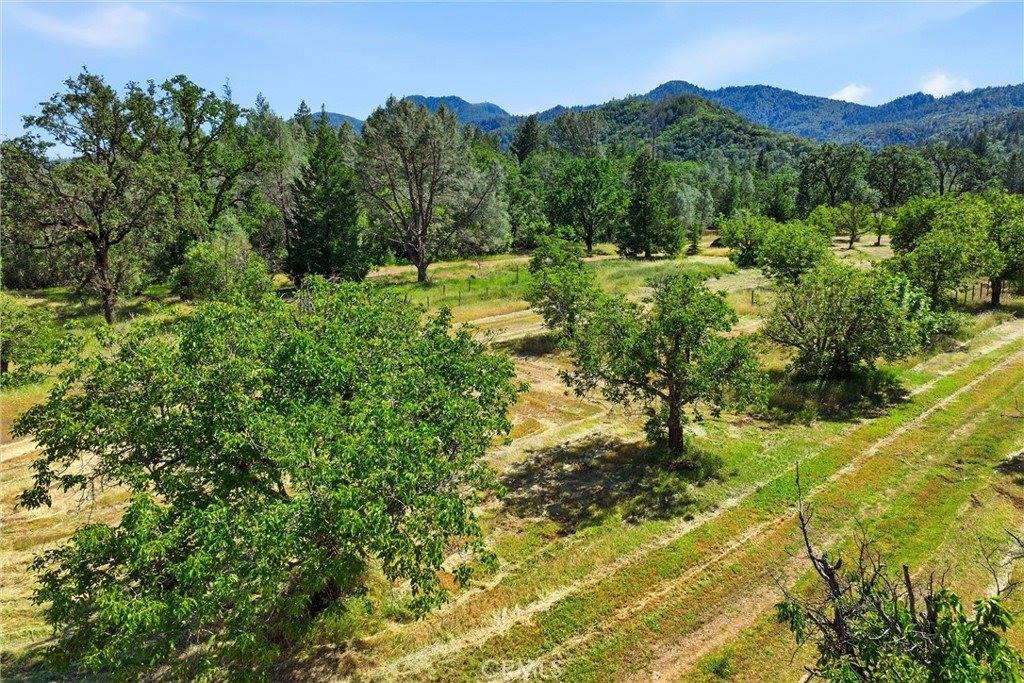 22550 Shady Grove Road, Middletown, CA 95461