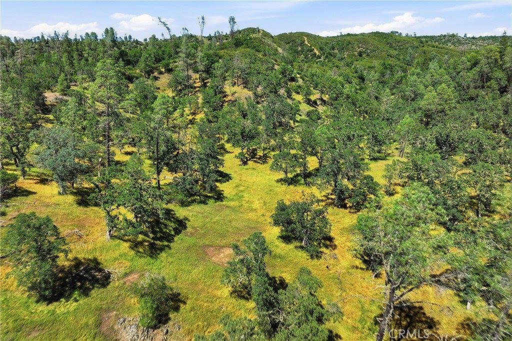 22550 Shady Grove Road, Middletown, CA 95461