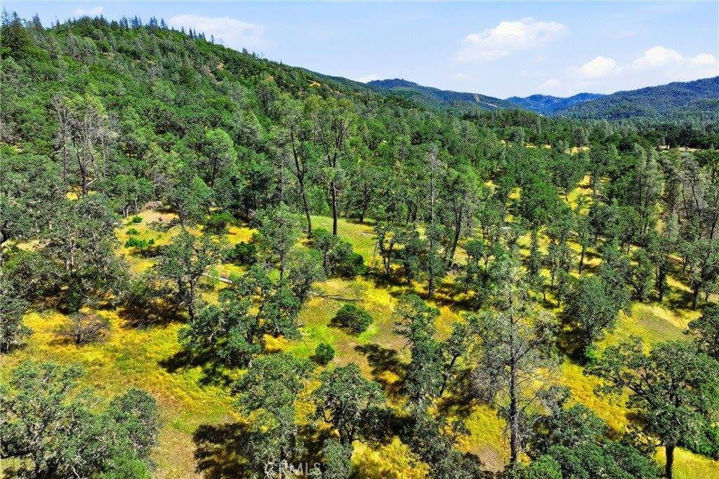 22550 Shady Grove Road, Middletown, CA 95461