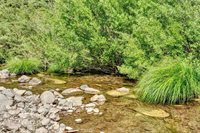 22550 Shady Grove Road, Middletown, CA 95461