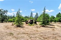 22550 Shady Grove Road, Middletown, CA 95461