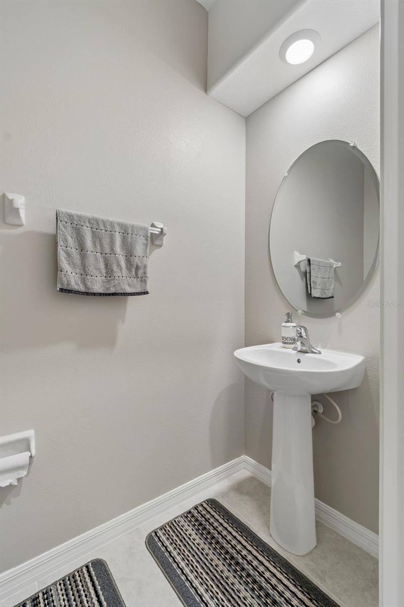 31612 Blue Passing Loop, Wesley Chapel, FL 33545
