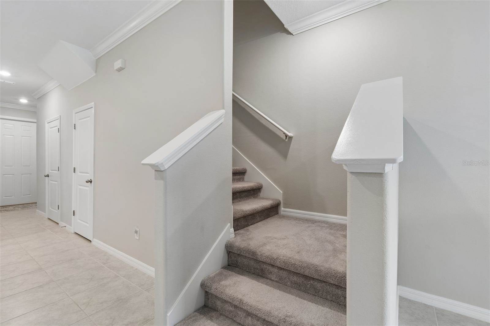 31612 Blue Passing Loop, Wesley Chapel, FL 33545