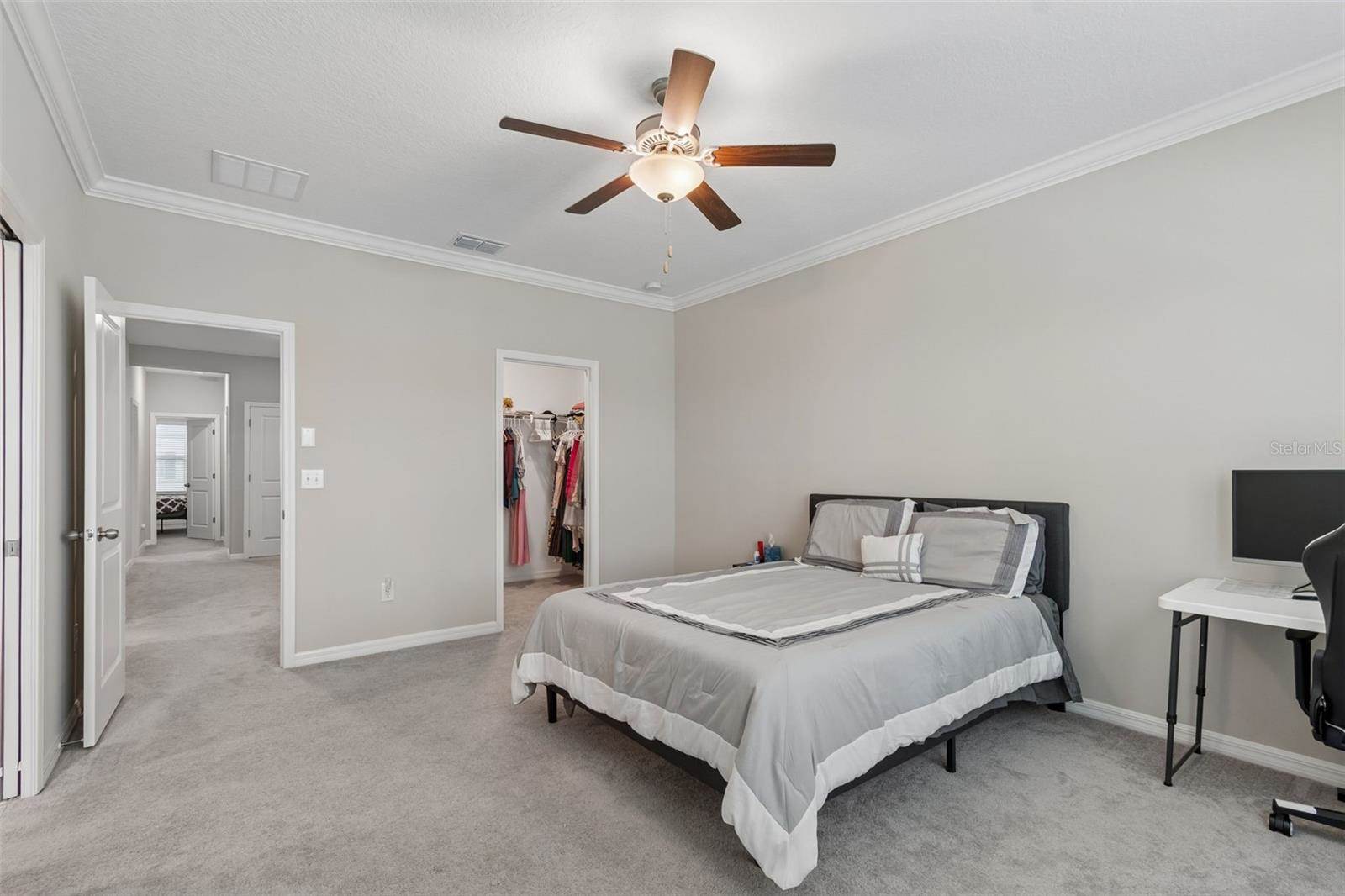 31612 Blue Passing Loop, Wesley Chapel, FL 33545