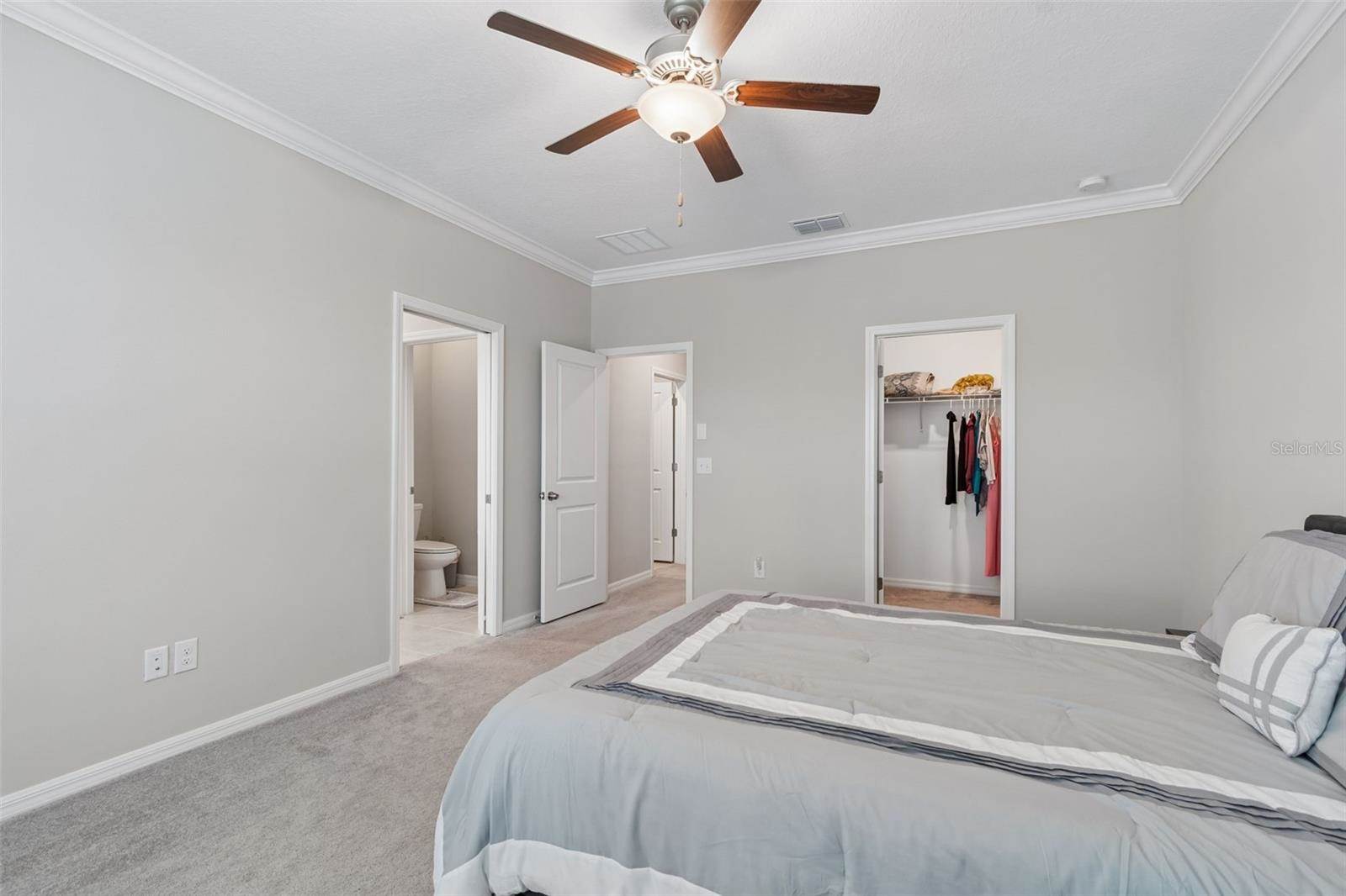 31612 Blue Passing Loop, Wesley Chapel, FL 33545