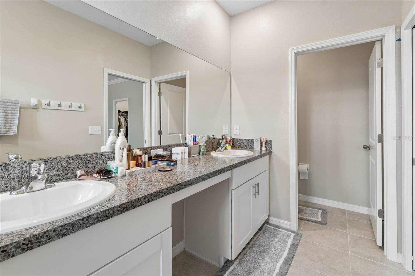 31612 Blue Passing Loop, Wesley Chapel, FL 33545