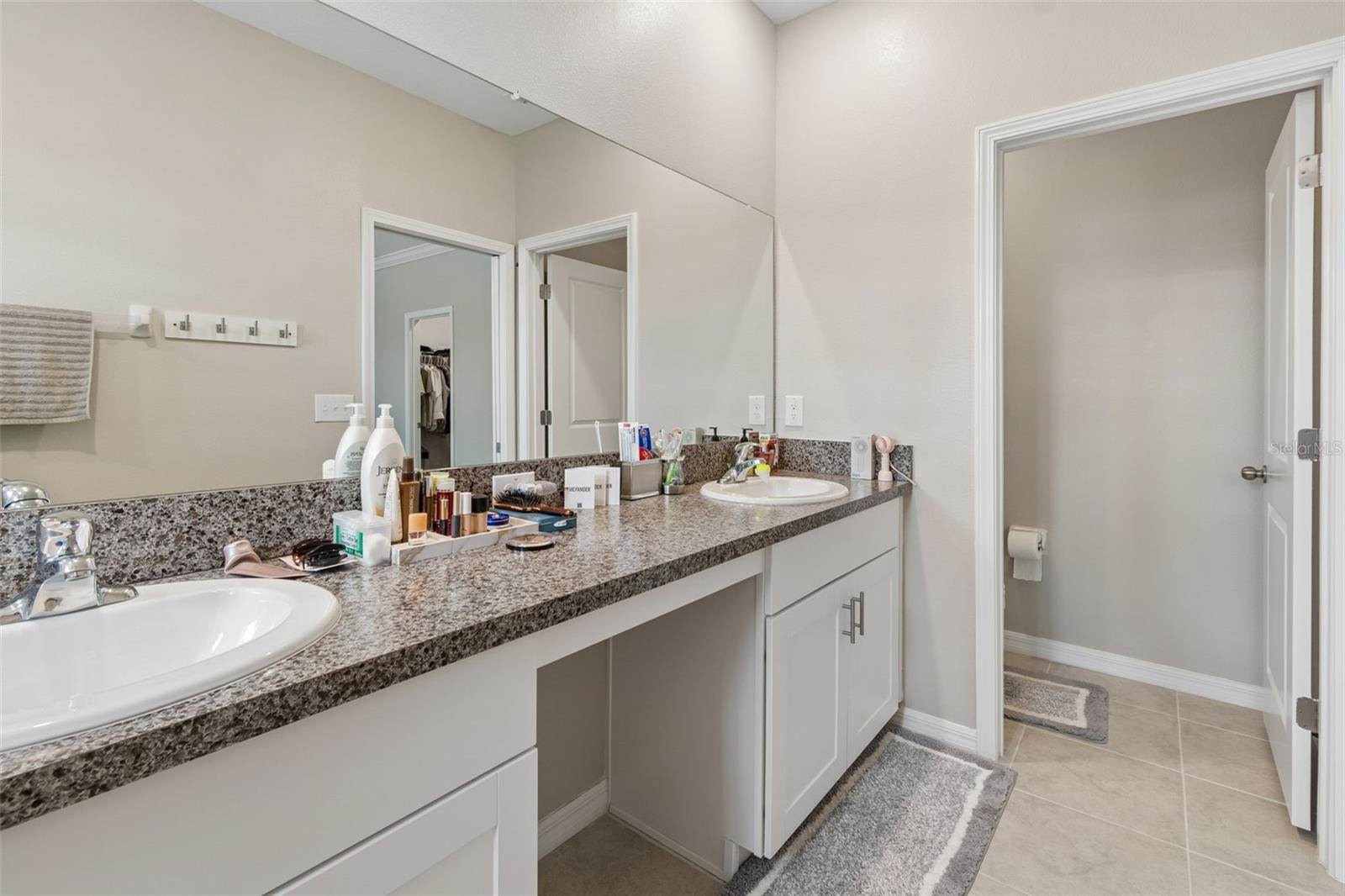 31612 Blue Passing Loop, Wesley Chapel, FL 33545