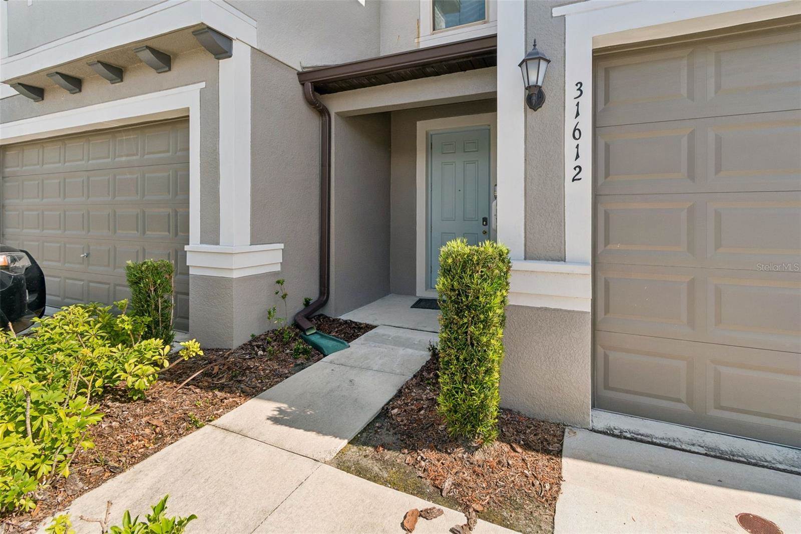 31612 Blue Passing Loop, Wesley Chapel, FL 33545