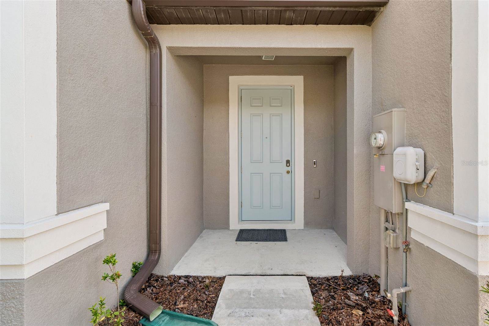 31612 Blue Passing Loop, Wesley Chapel, FL 33545