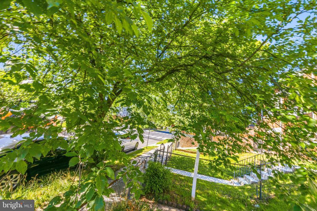 206 53RD Street NE, Washington, DC 20019