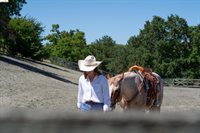 5885 Bruce Dr, Danville, CA 94506
