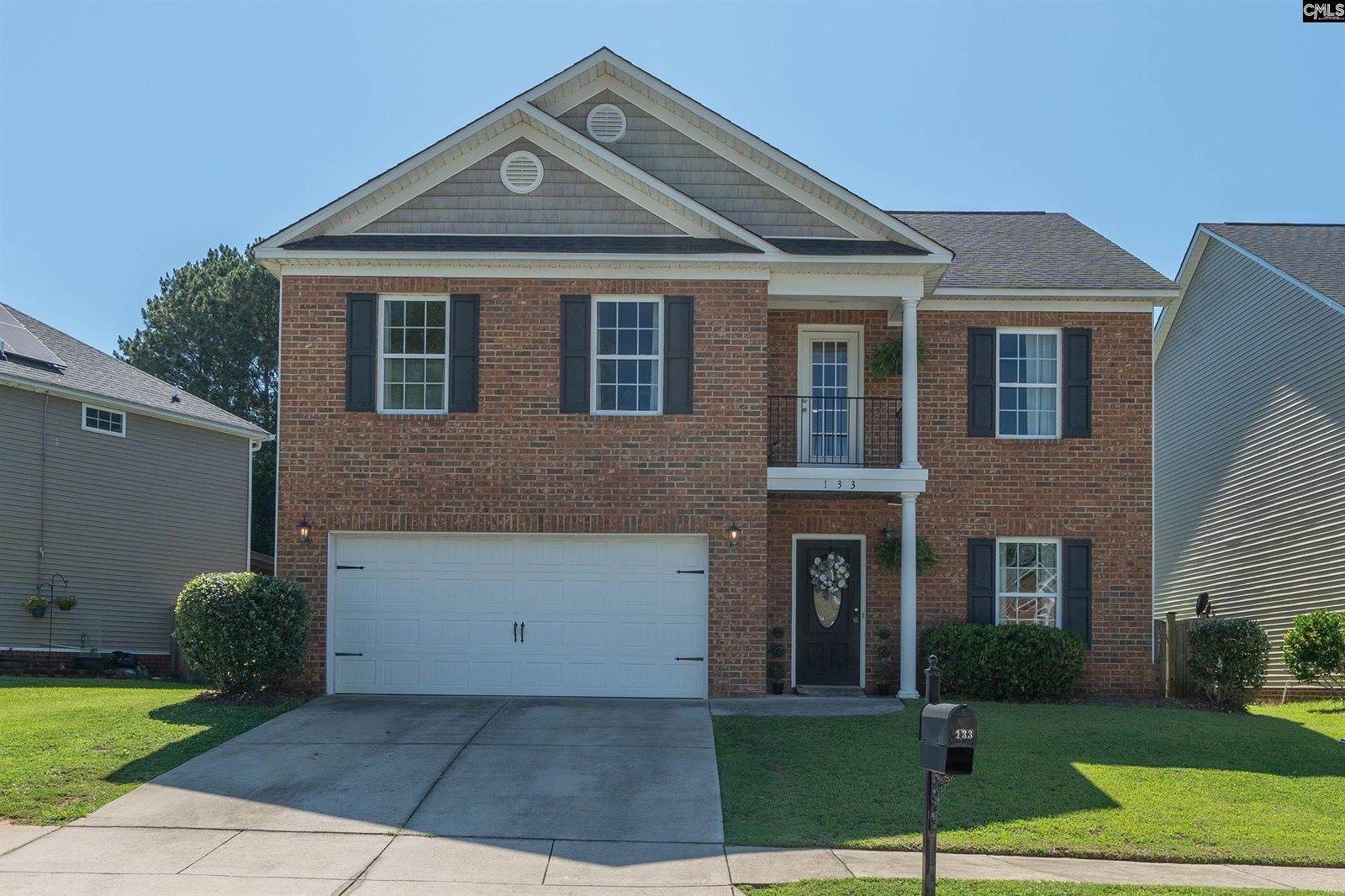 133 Palm St, Chapin, SC 29036