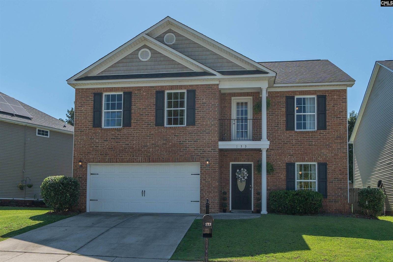 133 Palm St, Chapin, SC 29036