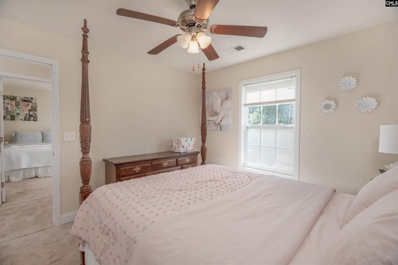 133 Palm St, Chapin, SC 29036