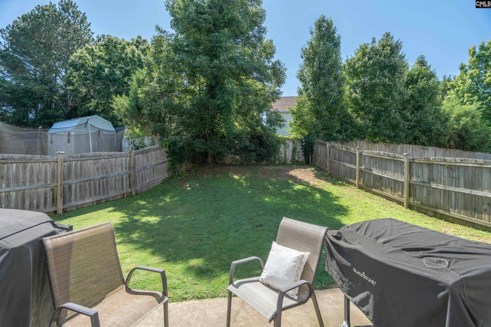 133 Palm St, Chapin, SC 29036