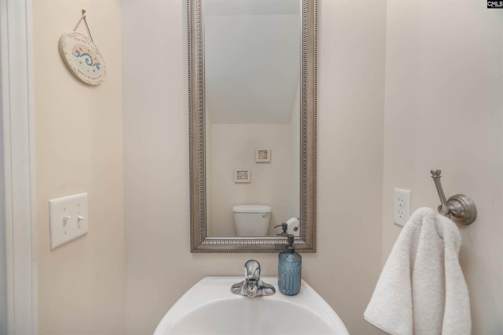 133 Palm St, Chapin, SC 29036