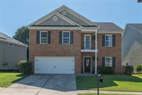 133 Palm St, Chapin, SC 29036