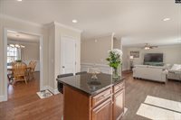 133 Palm St, Chapin, SC 29036