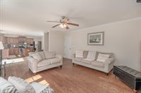 133 Palm St, Chapin, SC 29036