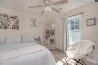 133 Palm St, Chapin, SC 29036