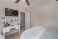 133 Palm St, Chapin, SC 29036