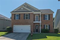 133 Palm St, Chapin, SC 29036