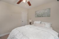 133 Palm St, Chapin, SC 29036