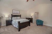 133 Palm St, Chapin, SC 29036