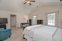 133 Palm St, Chapin, SC 29036