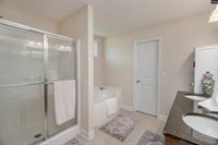 133 Palm St, Chapin, SC 29036