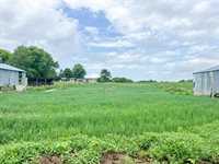 W15599 State Highway 54 -, North Bend, WI 54642
