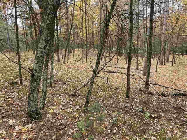 6.17 Acres TOWNLINE ROAD, Wisconsin Rapids, WI 54494