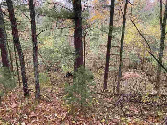6.17 Acres TOWNLINE ROAD, Wisconsin Rapids, WI 54494