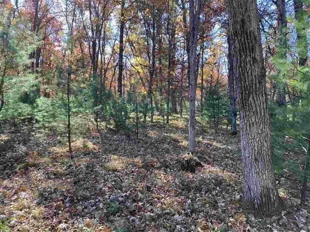 6.17 Acres TOWNLINE ROAD, Wisconsin Rapids, WI 54494